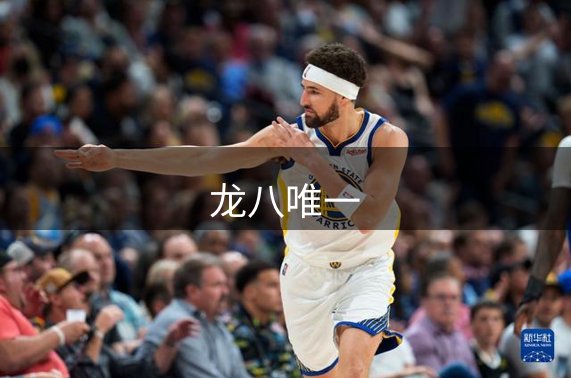 公司介绍
